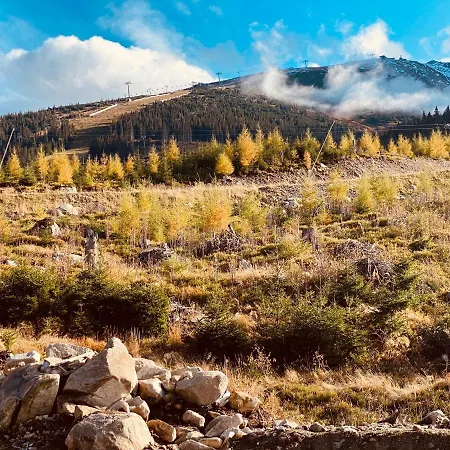 Claudie De Luxe Апартаменты Демяновская долина