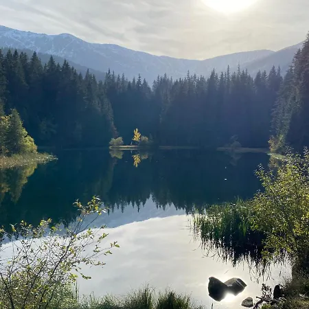 Claudie De Luxe * Демяновская долина